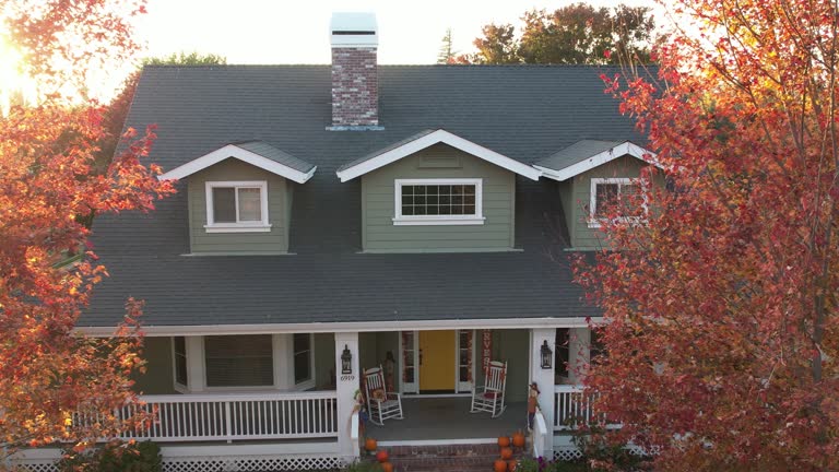Best Roof Moss and Algae Removal  in Mount Hope, NJ
