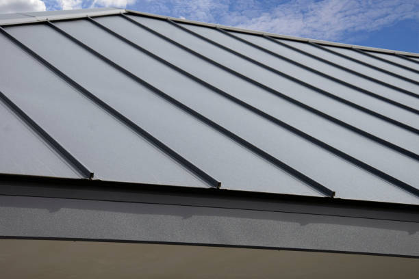 Best Roof Moss and Algae Removal  in Mount Hope, NJ